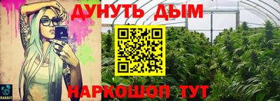 шишки Берёзовский