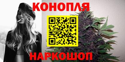 каннабис Кингисепп
