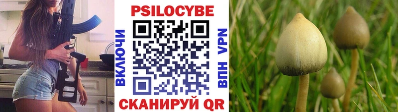 ОМГ ОМГ зеркало  Биробиджан  Псилоцибиновые грибы ЛСД  цена  