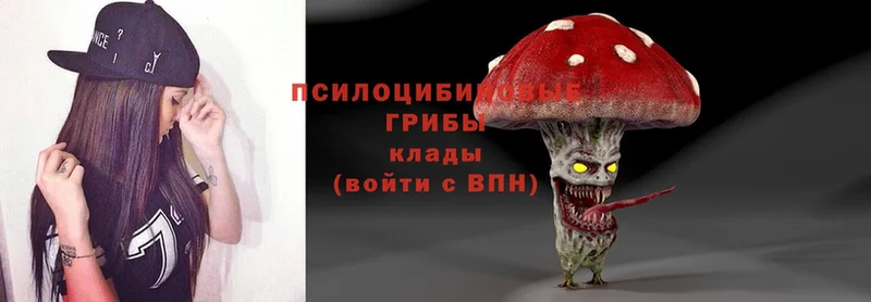 Псилоцибиновые грибы Magic Shrooms  mega зеркало  Биробиджан  купить закладку 