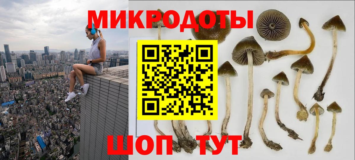 Псилоцибиновые грибы прущие грибы  Вход с VPN  Биробиджан 