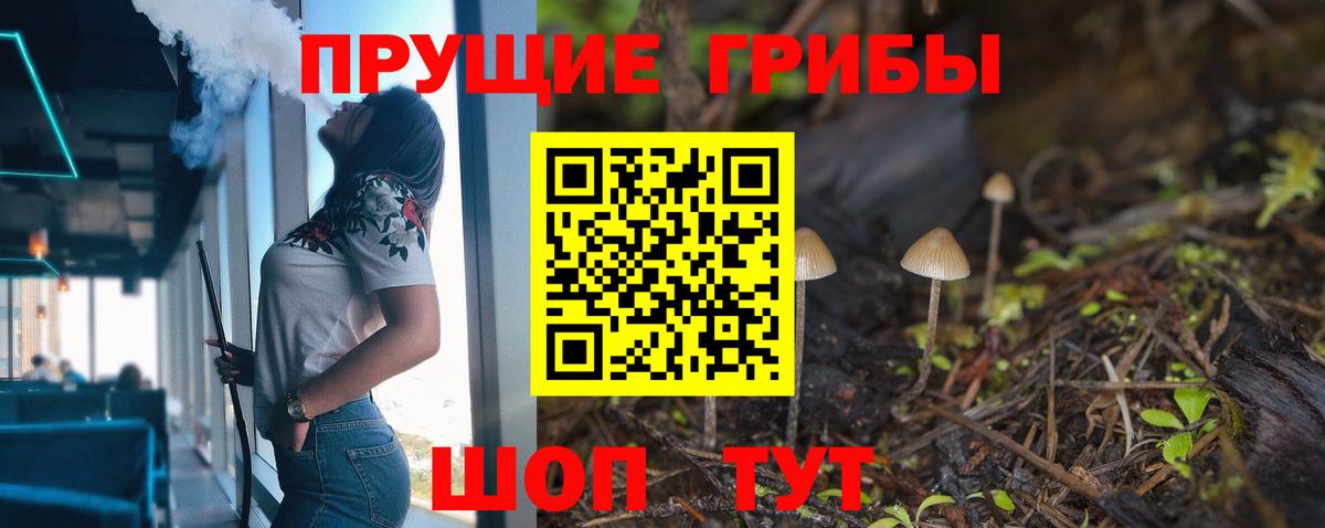 Галлюциногенные грибы Psilocybine cubensis Биробиджан