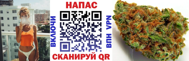 наркотики  Биробиджан  Каннабис White Widow 